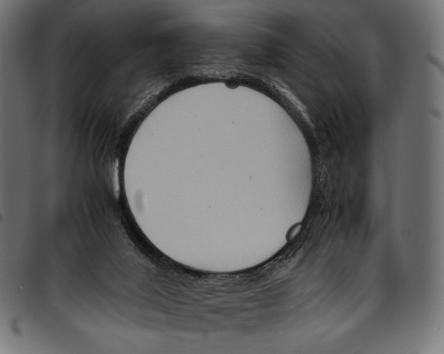 X0000094800020200712141703