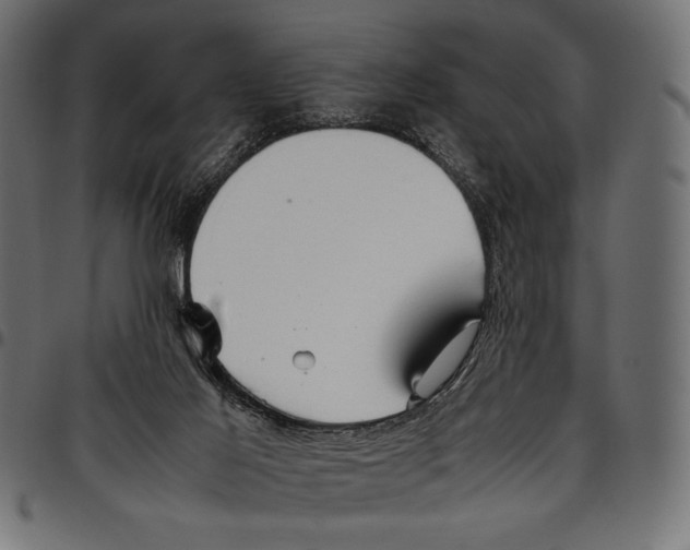 X0000094800021200712141703