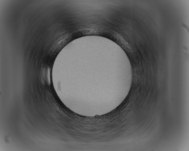 X0000094800022200712141703