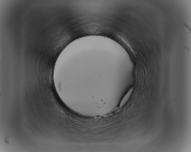 X0000094800023200712141703