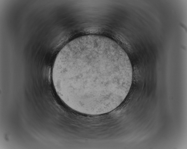 X0000094800024200712141703