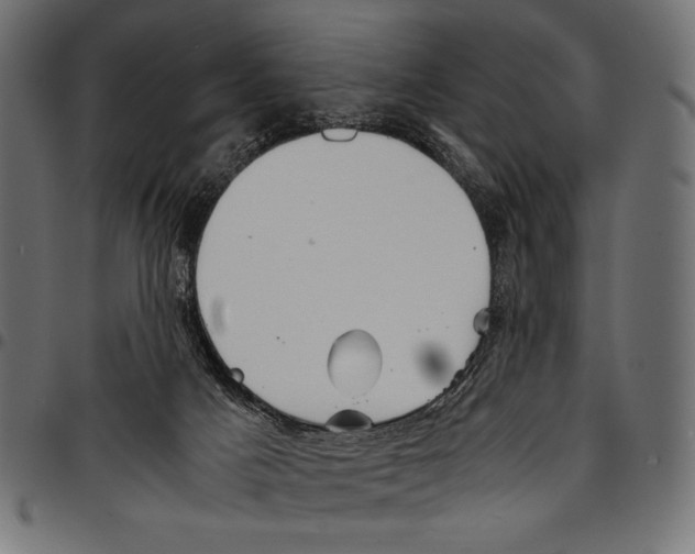 X0000094800025200712141703
