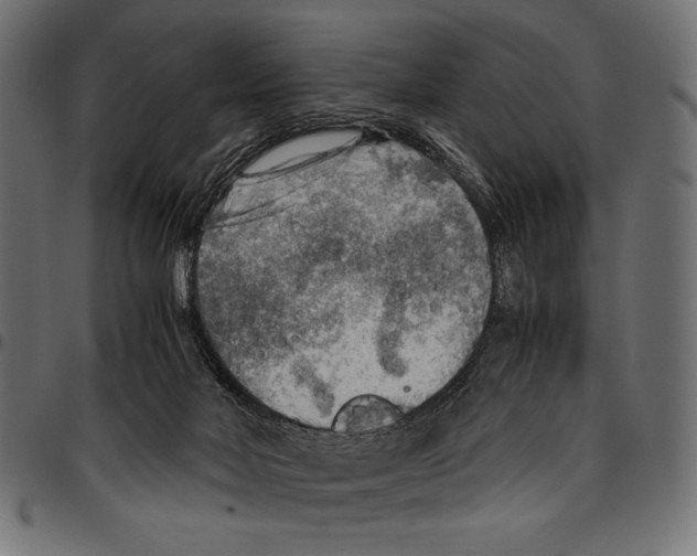 X0000094800026200712141703