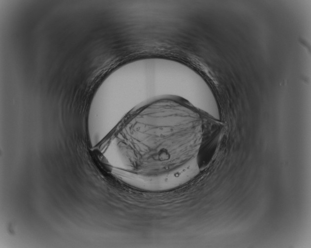 X0000094800027200712141703