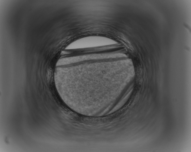 X0000094800029200712141703