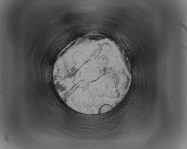 X0000094800030200712141703