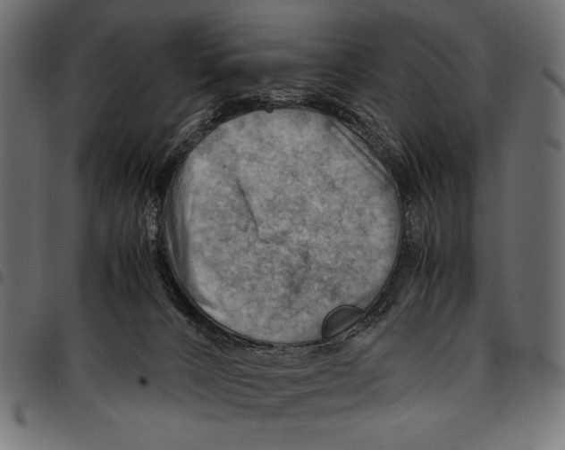 X0000094800032200712141703
