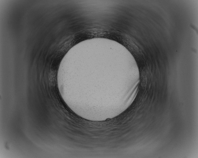 X0000094800034200712141703