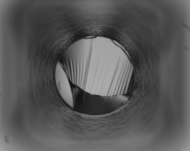 X0000094800037200712141703
