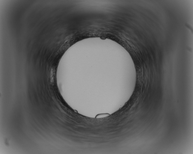 X0000094800038200712141703