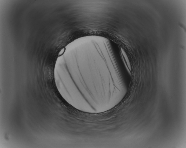 X0000094800039200712141703