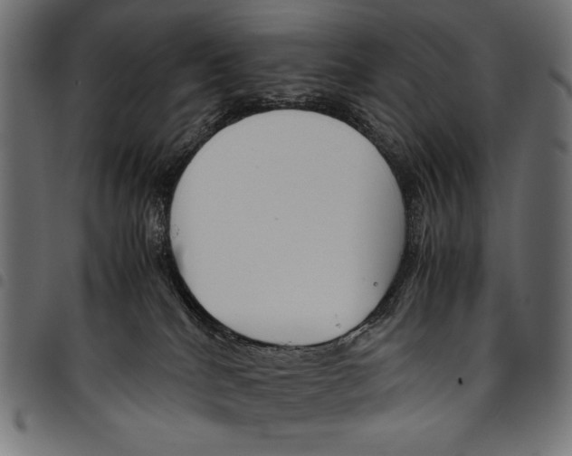 X0000094800040200712141703