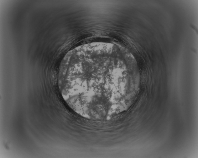 X0000094800043200712141702