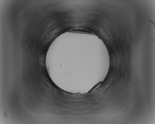 X0000094800044200712141702