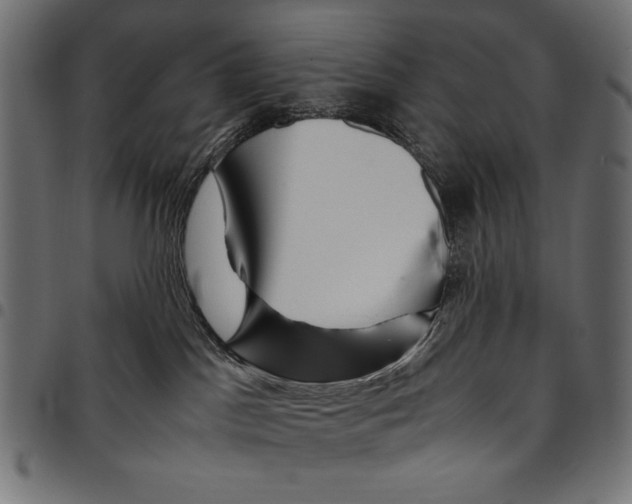 X0000094800045200712141702