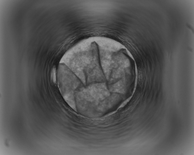 X0000094800046200712141702