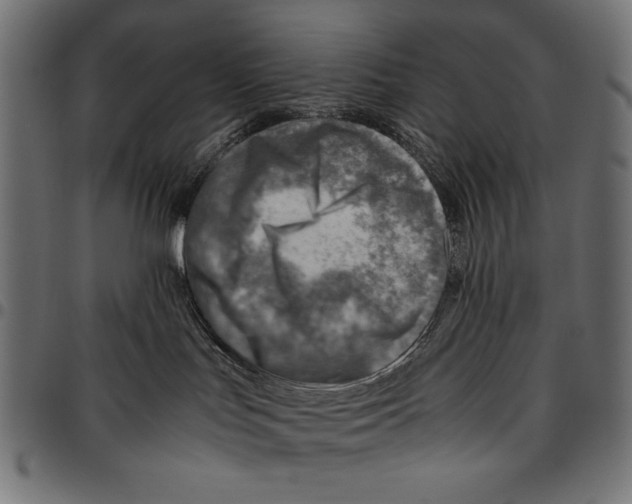 X0000094800047200712141702