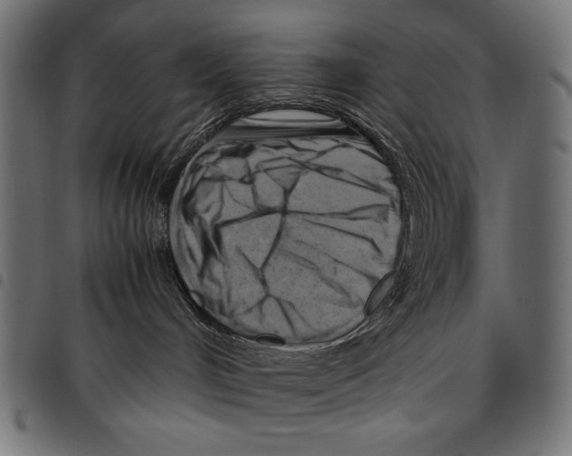 X0000094800048200712141702