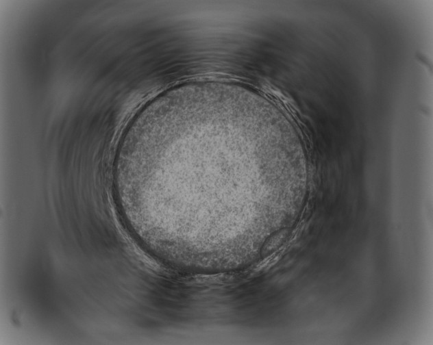 X0000094800049200712141702