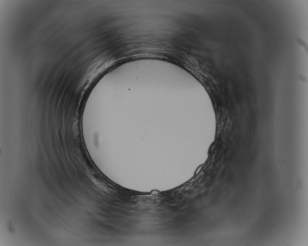 X0000094800050200712141702