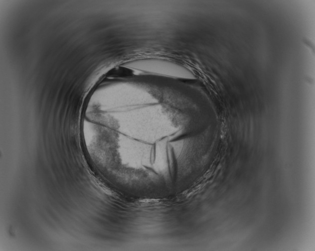 X0000094800052200712141702