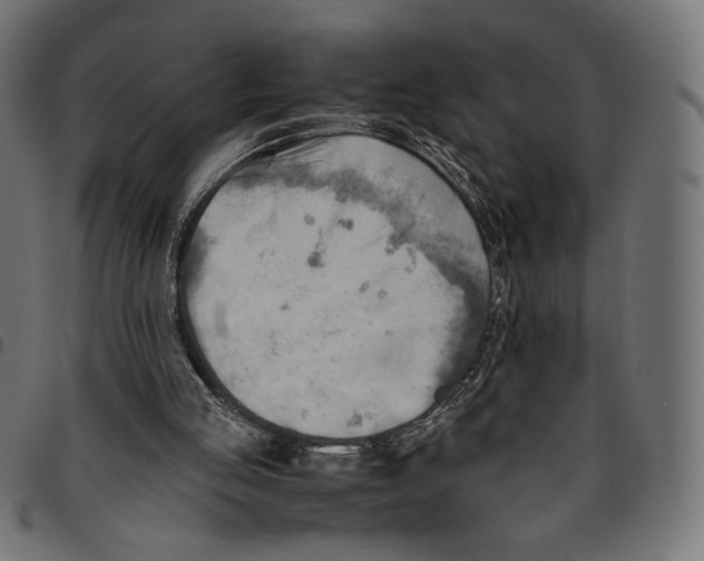 X0000094800053200712141702