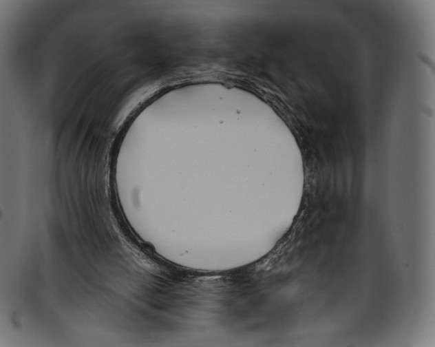 X0000094800054200712141702