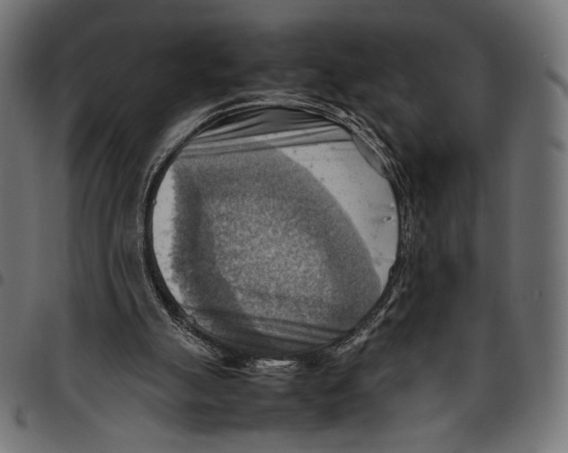 X0000094800055200712141702