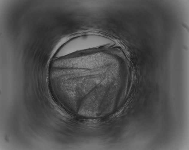X0000094800056200712141702