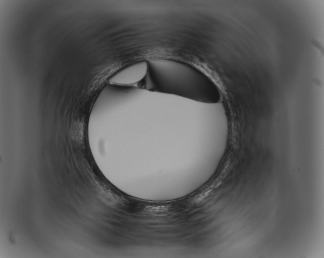 X0000094800057200712141702