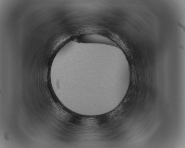 X0000094800058200712141702