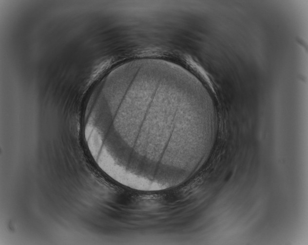 X0000094800059200712141702