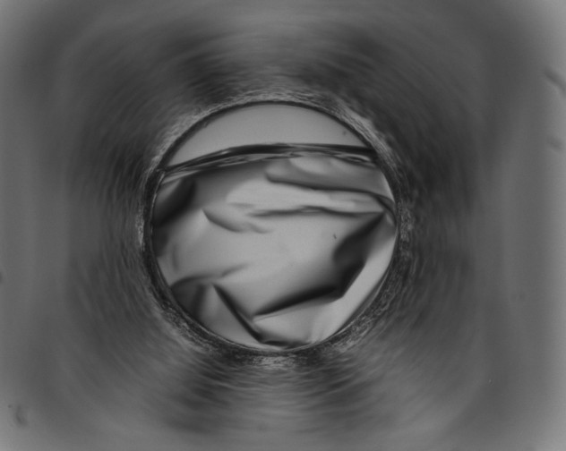 X0000094800060200712141702