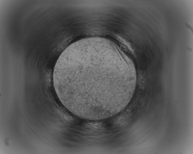 X0000094800065200712141702