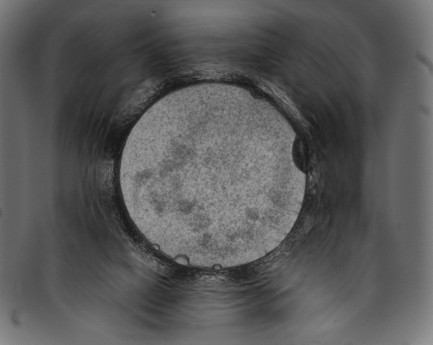X0000094800066200712141702