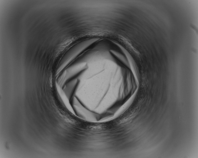 X0000094800068200712141702