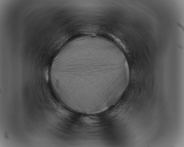 X0000094800069200712141702