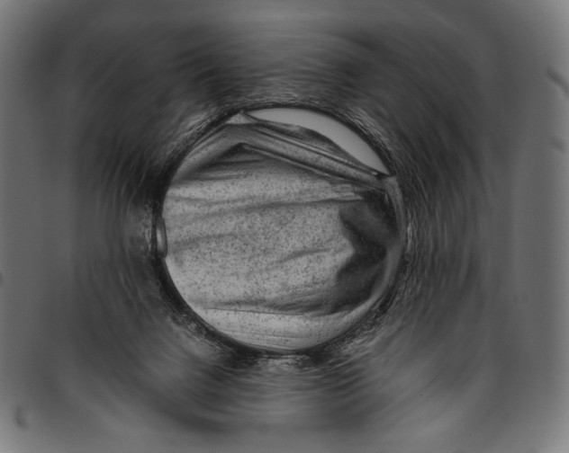 X0000094800072200712141702