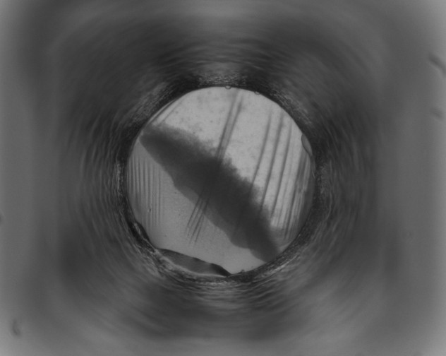X0000094800073200712141702