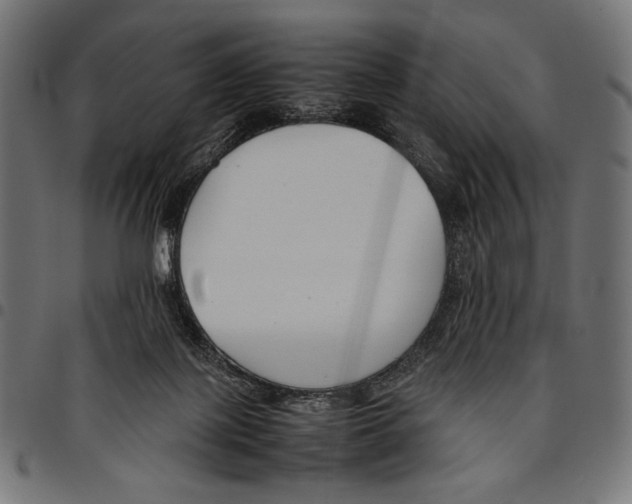 X0000094800075200712141702