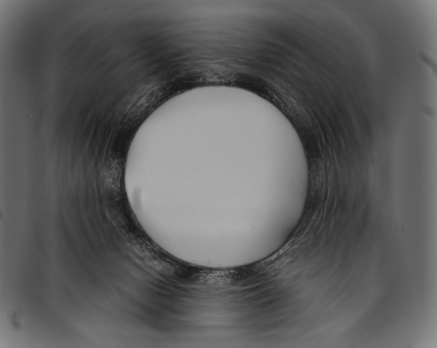 X0000094800078200712141702