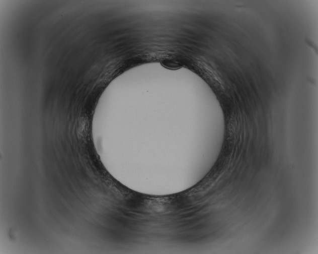 X0000094800079200712141702