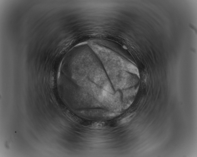 X0000094800080200712141702