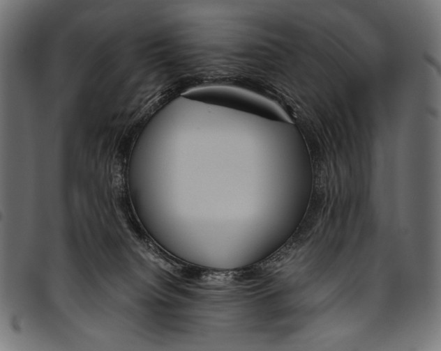 X0000094800084200712141702
