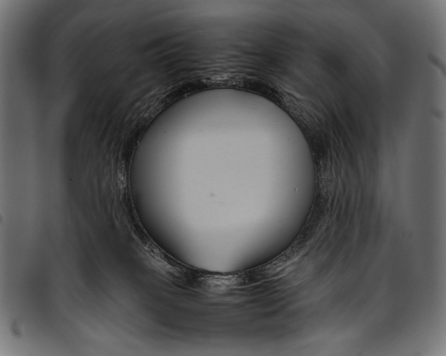 X0000094800085200712141702