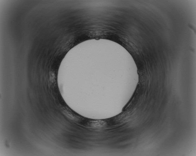 X0000094800087200712141702