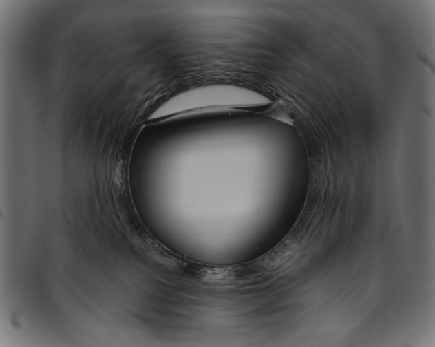 X0000094800088200712141702