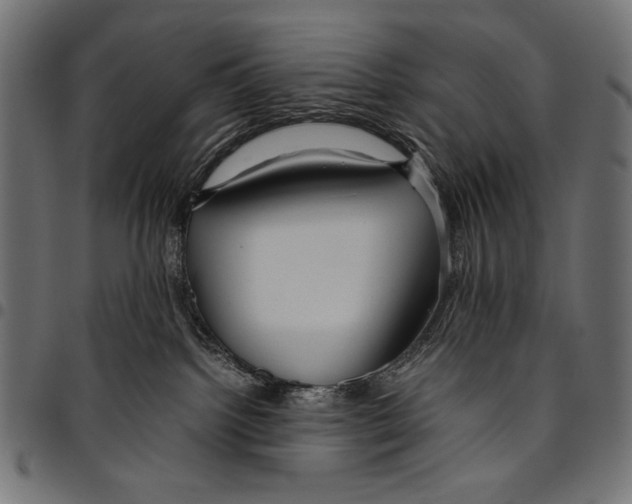 X0000094800092200712141702