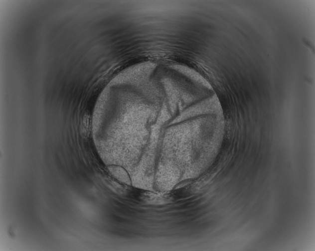 X0000094800093200712141702