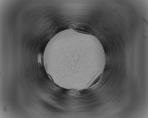 X0000094800094200712141702